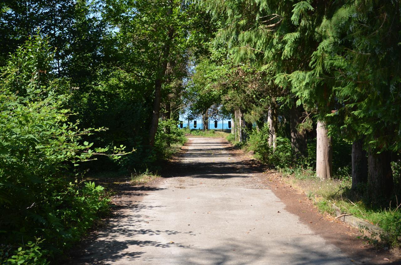 Solnechny Bereg Guest House Гудаута Екстер'єр фото