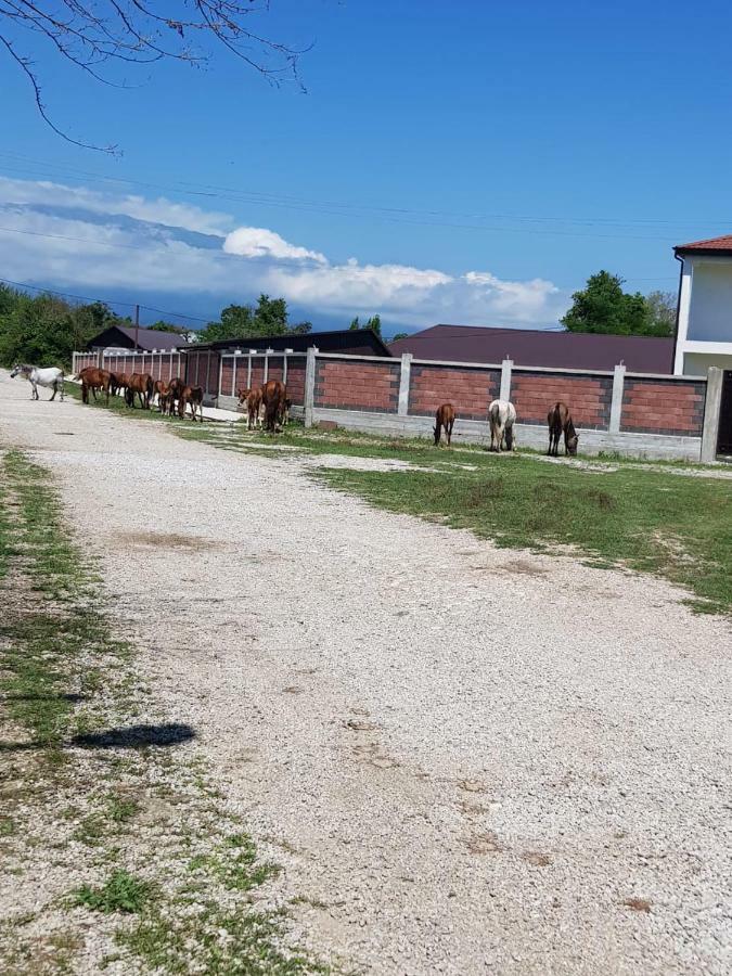 Solnechny Bereg Guest House Гудаута Екстер'єр фото