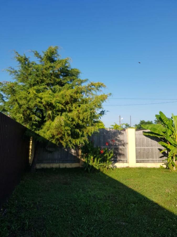 Solnechny Bereg Guest House Гудаута Екстер'єр фото